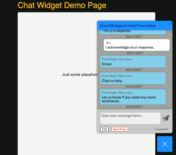 Screenshot of chat widget